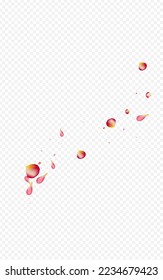Delicado Fondo transparente del vector de la subasta de color mate. Ilustración de Rose Caída. Banner de borrón de cerezos rojos. Diseño De Flor Rosa.