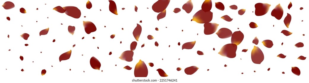 Delicate Peach Tender Vector White Panoramic Background. Falling Blossom Cover. Burgundy Floral Beauty Pattern. Beautiful Sakura Japan Poster.