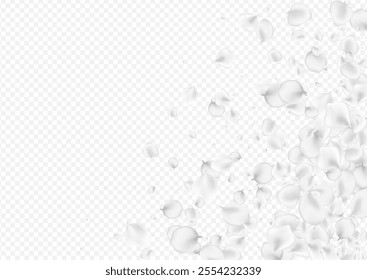Delicate Peach Vector Transparent Background. White Tender Rose Texture. Beauty Lotus Pattern. Gray Sakura Falling Cover.