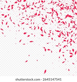 Delicate Peach Vector Transparent Background. Falling Cherry Pattern. Beautiful Sakura Japanese Frame. Pink Beauty Petal Banner.