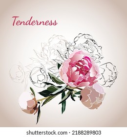 Delicate peonies for pink decoration