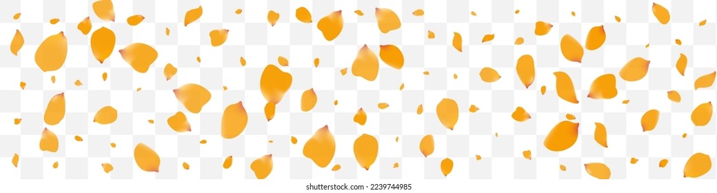 Delicate Peony Falling Vector Transparent Panoramic Background. Fall Floral Texture. Beautiful Narcissus Flying Poster. Yellow Rose Fly Design.