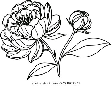 Delicate Peony Flower Outline Botanical Illustration With Bud And Leaves Artwork