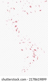 Delicate Petal Blur Vector Transparent Background. Fall Peach Illustration. Pink Cherry Tender Texture. Beautiful Floral Japanese Cover.