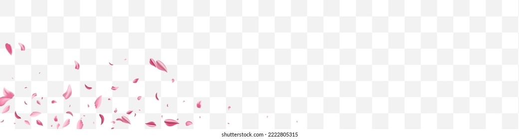 Delicate Petal Fall Vector Transparent Panoramic Background. Spring Cherry Template. Red Floral Tender Wallpaper. Beautiful Flower Fly Pattern.