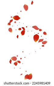 Delicate Petal Fall Vector White Background. Spring Floral Texture. Beautiful Sakura Falling Pattern. Pink Blossom Summer Illustration.