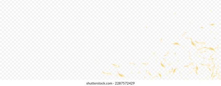 Delicate Petal Falling Vector Panoramic Transparent Background. Yellow Summer Sakura Pattern. Light Rose Fall Template. White Flower Beauty Poster. Flying Lotus Backdrop.