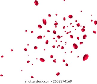 Delicate Petal Fly Vector Panoramic Transparent Background. Summer Sakura Design. Pink Peach Japan Banner. Beautiful