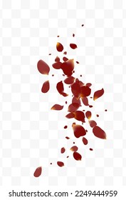 Delicate Petal Flying Vector Transparent Background. Blur Sakura Design. Burgundy Cherry Spring Pattern. Pink Floral Summer Cover.