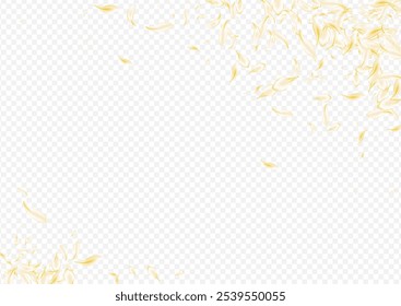 Delicate Petal Japan Vector Transparent Background. Gold Blur Cherry Banner. Beige Blossom Spring Pattern. White Sakura Fly Frame. Beauty Flower Template.