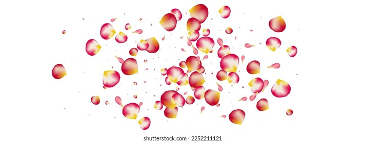 Delicate Petal Japanese Vector Panoramic White Background. Tender Blossom Backdrop. Pink Rose Blur Texture. Beautiful Sakura Summer Pattern.