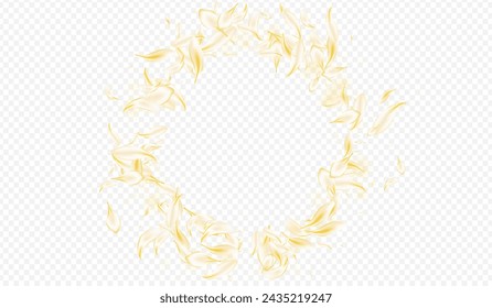 Delicate Petal Japanese Vector Transparent Background. Yellow Summer Flower Cover. Gold Floral Falling Template. White Rose Tender Pattern. Flying Blossom Texture.