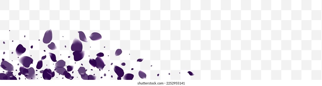 Delicate Petal Magenta Vector White Transparent Panoramic Background. Tender Floral Texture. Yellow Geranium Night Yellow. Purple Flower Falling Banner.