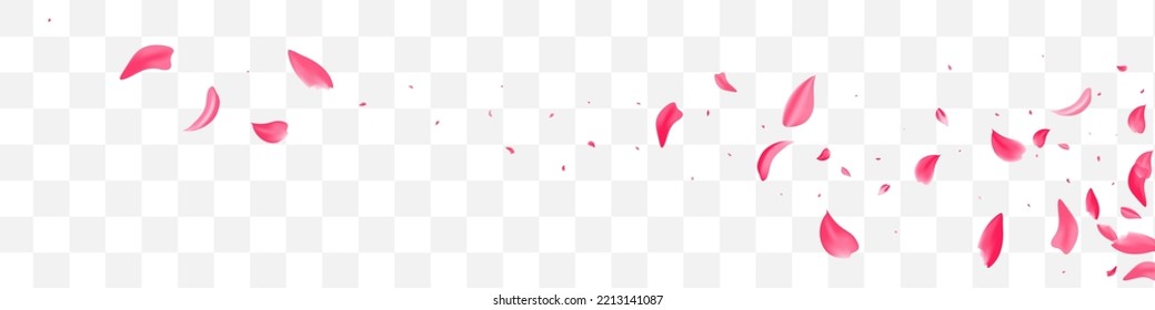 Delicate Petal Spring Vector Transparent Panoramic Background. Blur Flower Frame. Pink Rose Beauty Wallpaper. Beautiful Peach Flying Pattern.
