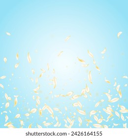 Delicado Pétalo Tierna Vector Fondo Azul. Afiche de flor blanca de verano. Ilustración japonesa de cereza dorada. Diseño de primavera Sakura beige. Cubierta de flor de mosca.