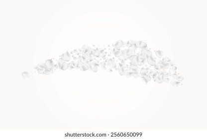 Delicate Petal Vector Light Background. Pastel Blur Flower Backdrop. Japanese Cherry Design. Gray Rose Falling Poster.