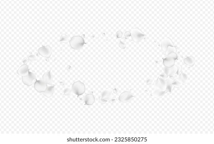 Delicate Petal Vector Transparent Background. Pastel Japanese Blossom Design. Blur Peach Cover. Snowy Floral Falling Banner.