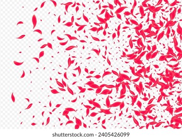 Delicate Petal Vector Transparent Background. Beauty Sakura Pattern. Red Rose Japan Texture. Pink Blur Cherry Cover.