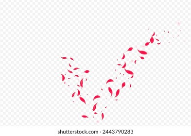 Delicate Petal Vector Transparent Background. Summer Rose Backdrop. Pink Sakura Fall Design. Red Tender Peach Poster.