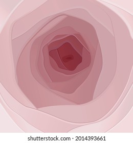 delicate pink abstraction, many layers, resembles a rose