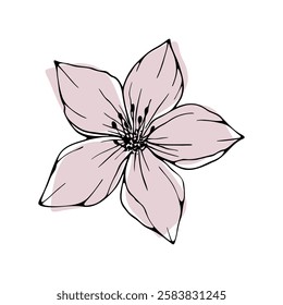 A delicate pink beautiful blooming almond, sakura, cherry blossom is hand-drawn with a line, isolated, vector. Graphic botanical illustration of romantic spring blooming. The decoration element