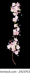 delicate pink blossoming fruit tree branch