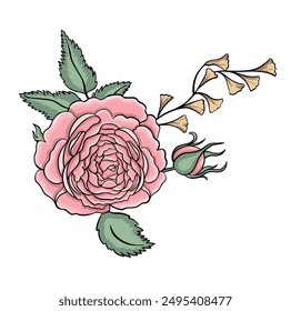 Delicate pink bud rose flower, peony illustration
