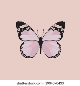 Delicate pink butterfly.
Minimalism style. Butterfly  vector animals natural. Simple flat. Vector illustration.