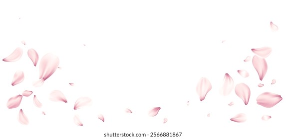 Delicate Pink Cherry Blossom Flowers Petals Floating Gracefully on the White Background. Soft pink petals scattered elegantly on a white background. Vector illustration EPS10