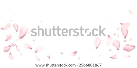 Delicate Pink Cherry Blossom Flowers Petals Floating Gracefully on the White Background. Soft pink petals scattered elegantly on a white background. Vector illustration EPS10
