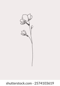 A delicate pink floral background with a blooming delicate twig, hand-drawn, isolated, vector. An element for a holiday, postcard, or wedding with a place for text. Flower sketch, graphic illustration