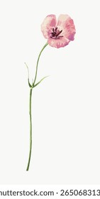 Delicada ilustração de flor rosa. Uma flor rosa com haste verde. Design de flor rosa elegante. Arte de flores rosa minimalista. Estética simples. Vetor de ilustração floral vintage.