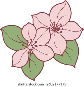 Delicate pink flowers in dogwood blossom with green leaves illustration