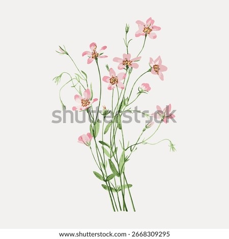 Delicate pink flowers with green stems, floral illustration. Pink flowers with intricate details, perfect for floral designs. Elegant pink flowers for decor. Vintage flower illustration vector.