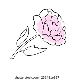 A delicate pink peony flower with gentle curves and leaves, evoking spring freshness and beauty