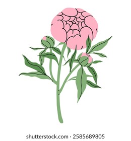 Delicate pink peony. Minimalist still life of single pink peony blossom with buds and leaves. Fashion minimalist flower. Elegant botanical design. for garden and flower shop. Vector flat illustration.