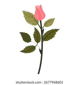 Delicate pink rose. Bud on a slightly inclined stem. Vector illustration isolated on a white background.