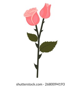 Rosa delicada. Elegante flor e broto em um caule. Ilustração vetorial isolada sobre fundo branco.