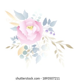 Delicate pink rose with silver dollar tree leaves. Vector illustration.