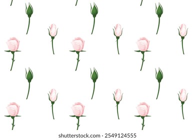 Delicate pink roses and budding green stems arranged on a white background for a floral pattern