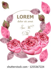 Delicate pink roses wreath Vector. watercolor floral background. Elegance flowers wallpaper. Vintage decorative bouquets