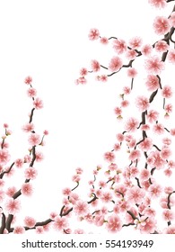 Delicate pink sakura cherry blossoms. EPS 10 vector file included