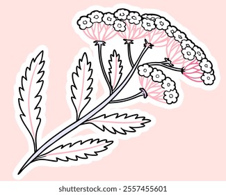 Delicate pink yarrow flower illustration. Perfect for adding a touch of floral elegance to your designs. Ideal for wedding invitations, feminine branding, or nature-themed projects.