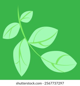 delicate plant branch vector illustration