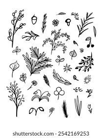 Delicate plant designs showcase unique botanical shapes and forms in black and white