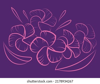 Delicate plumeria. Vector charming lane.  Flower.