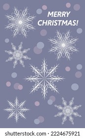 Delicate postcard Merry Christmas. Vector. Holiday illustration. Snowflakes and inscription