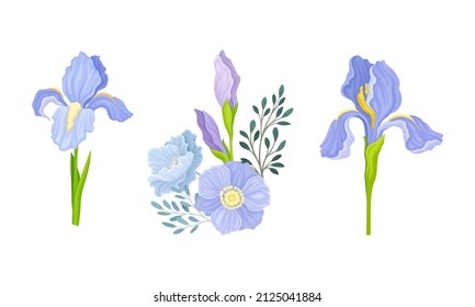 Delicate Purple Iris Flowering Plant on Stem with Blooming Flora Vector Composition Set