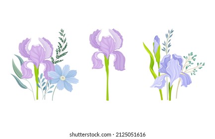 Delicate Purple Iris Flowering Plant on Stem with Blooming Flora Vector Composition Set