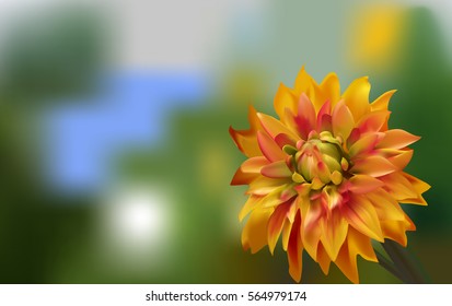 Delicate red gold Aster on a blurred green background